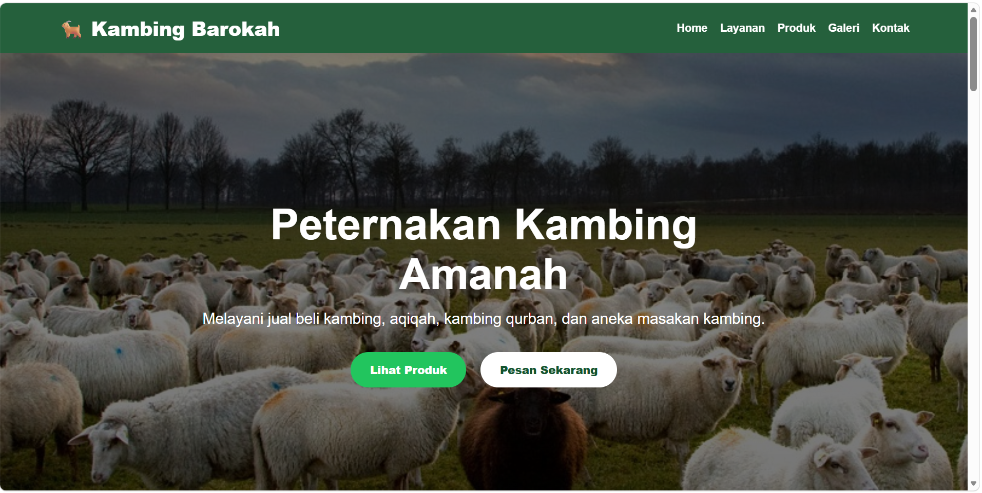 E-Commerce Website